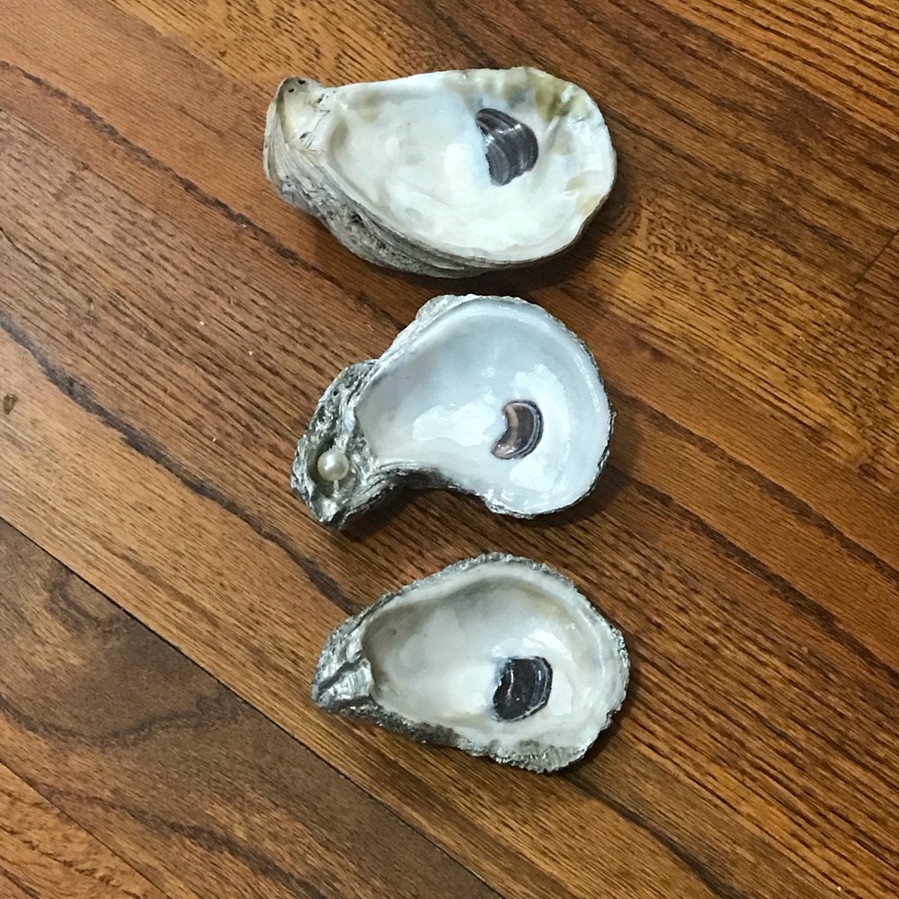 Oyster Shell & Pearl Home Decor 3 Pc Set
3 Piece Oyster Shells decorated…
